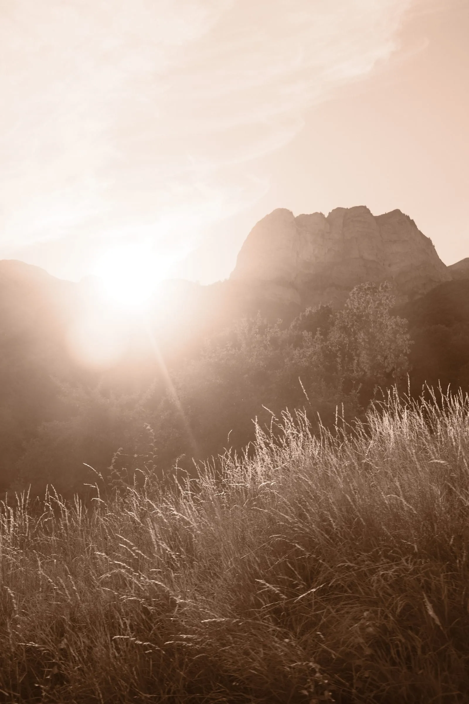 The sun breaks over a mountain ridge behind tall grass, toned sepia.